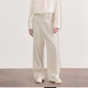 Everlane draper pleated pants in bone color. Size 10 inseam short.